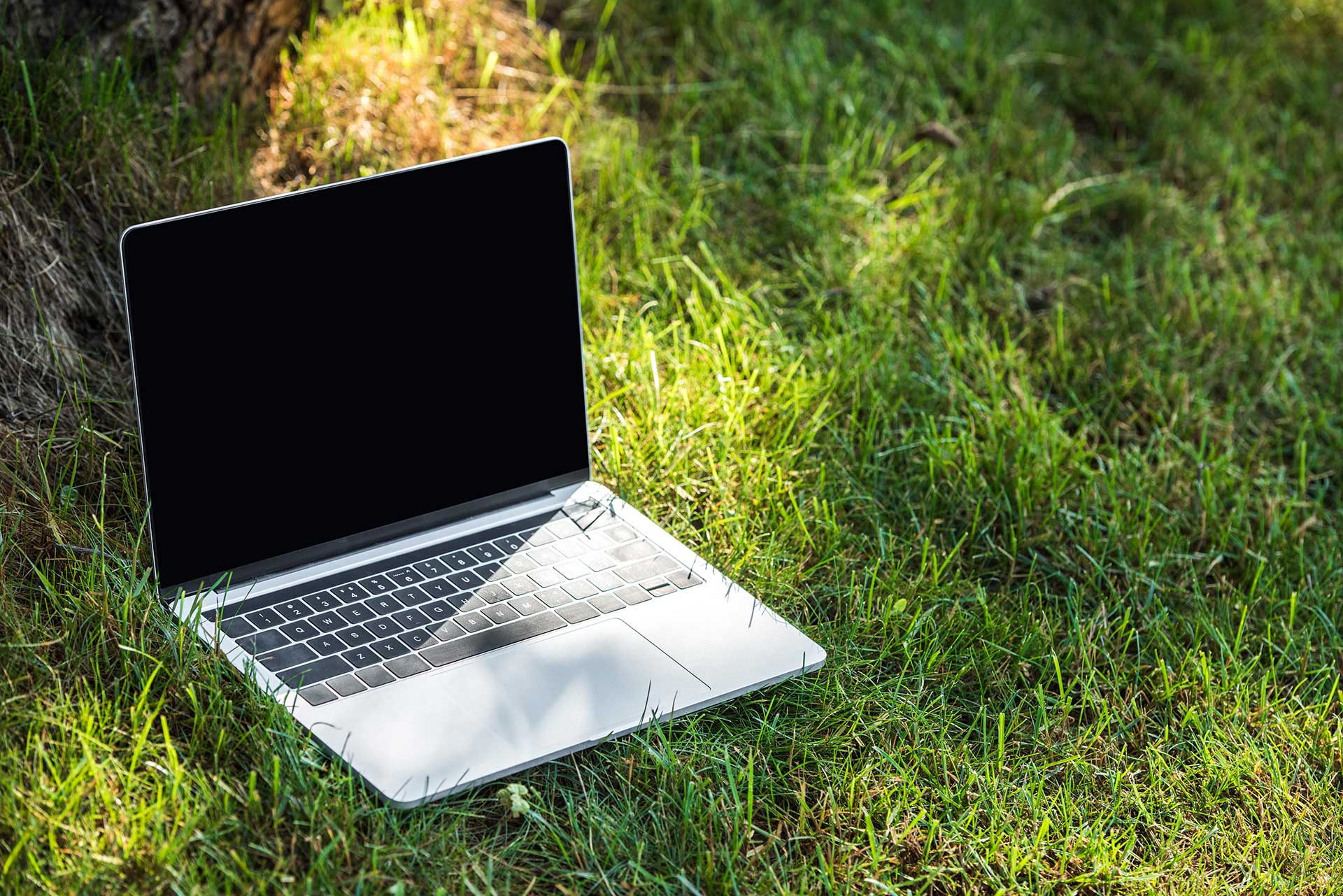 Laptop with a blank screen on a lush green lawn, symbolizing digital marketing for landscaping.