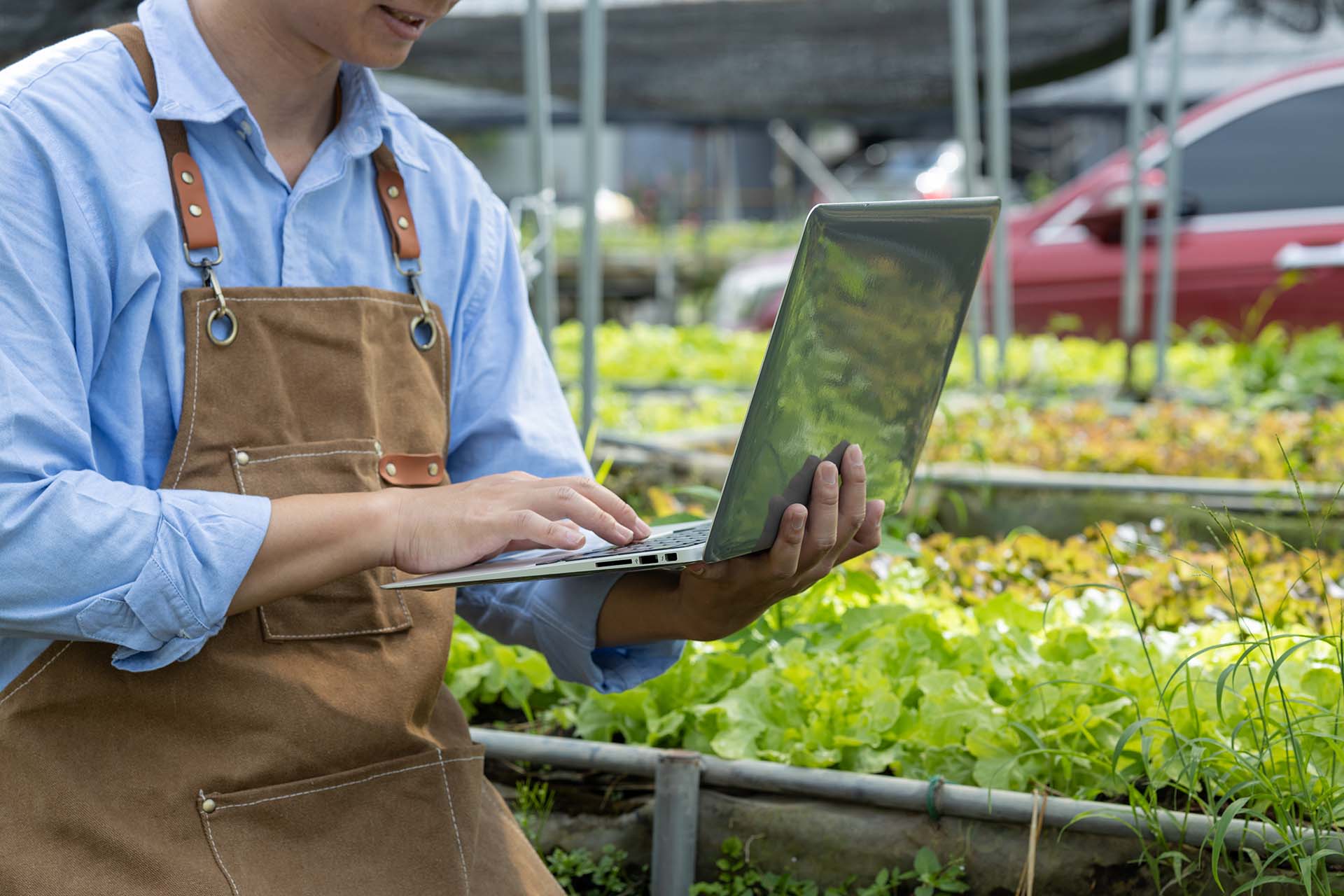 A farmer in an apron working on a laptop while surrounded by fresh vegetable plants in a greenhouse.