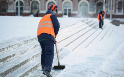 Services Landscapers Can Offer During the Winter To Make Money