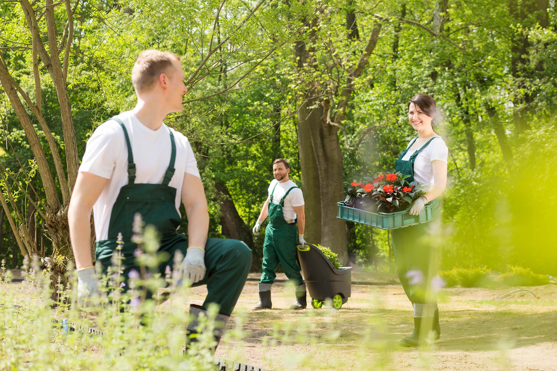 Three landscapers in green overalls working together, planting flowers in a park as part of essential teamwork tools for landscaping.