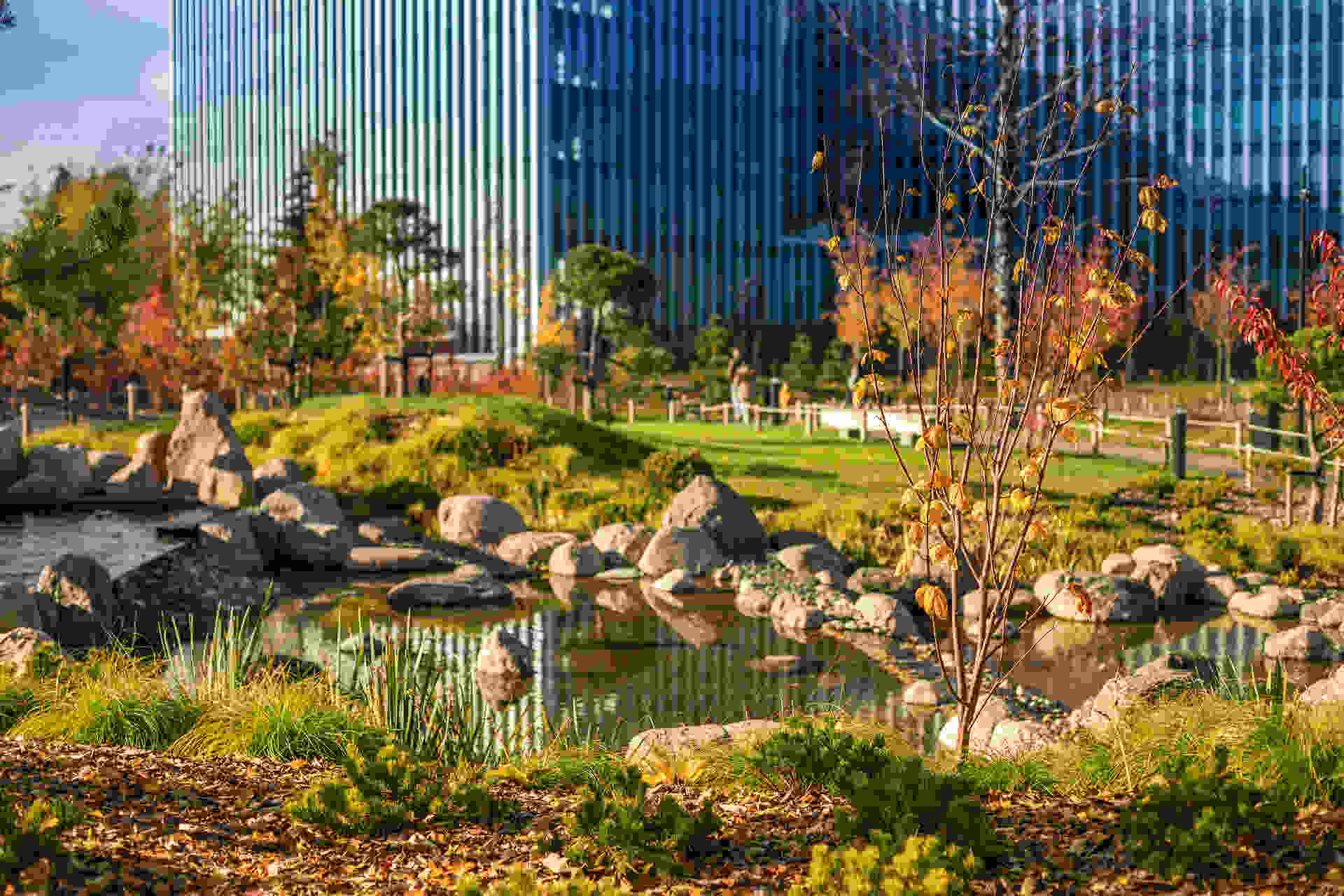 A landscaped urban park with a pond, rocks, and autumn trees, showing commercial landscaping in a city setting.