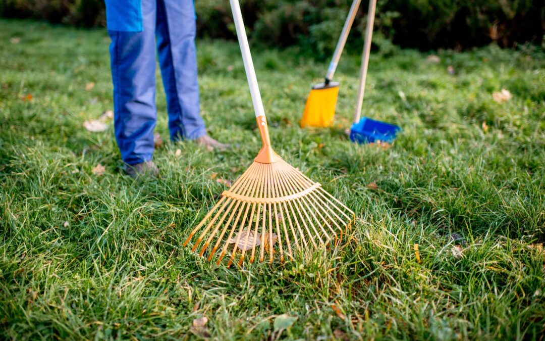 Spring Cleaning for Landscapers: How to Make Big Money Fast