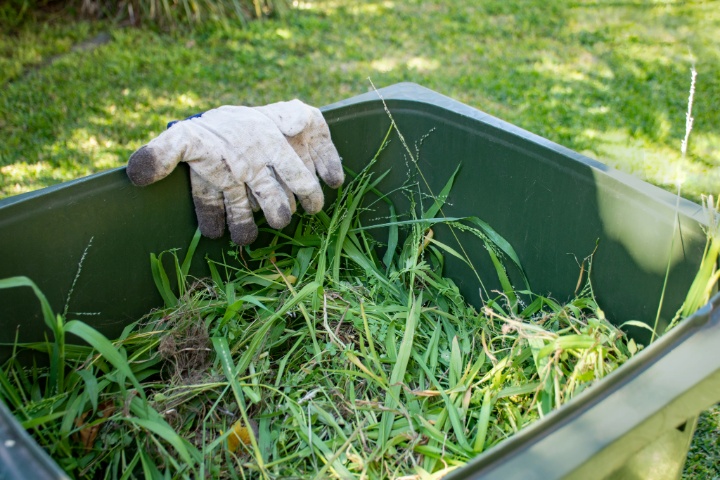 Garden bin with grass clippings and yard waste, with work gloves resting on edge during spring lawn cleanup