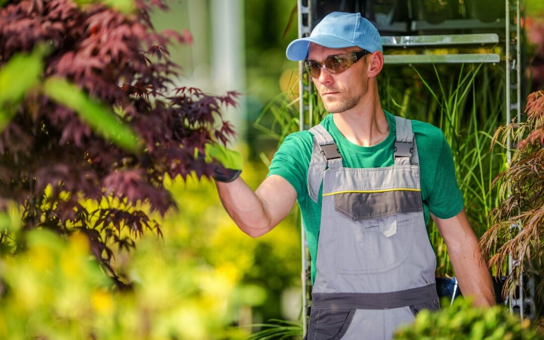 How to Maximize Landscaping Profits This Summer