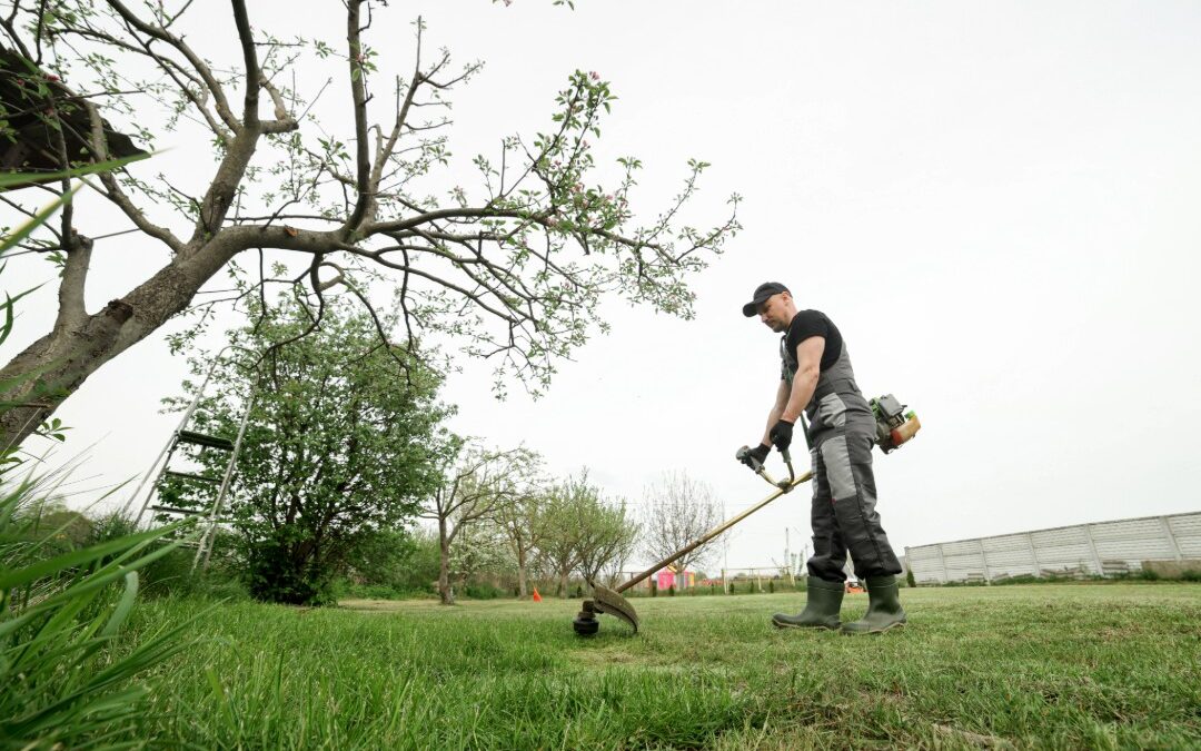 Profitable Spring Landscaping Services Every Pro Should Offer