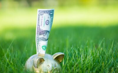 How to Fix Common Summer Profit Losses in Lawn Care
