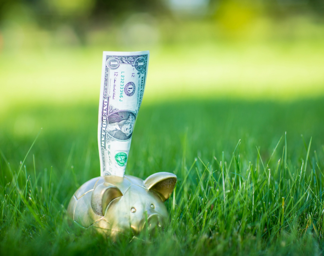 Dollar bill inserted into a golden piggy bank on green grass, symbolizing landscaping savings or summer profit growth