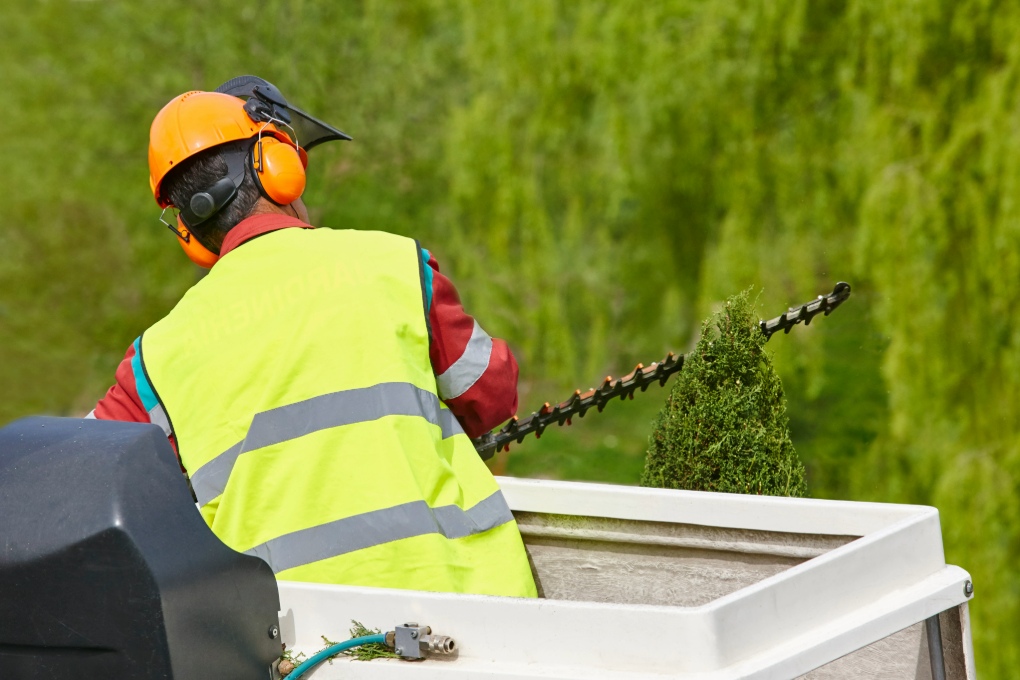 Professional landscaper pruning tree from crane lift during spring garden maintenance