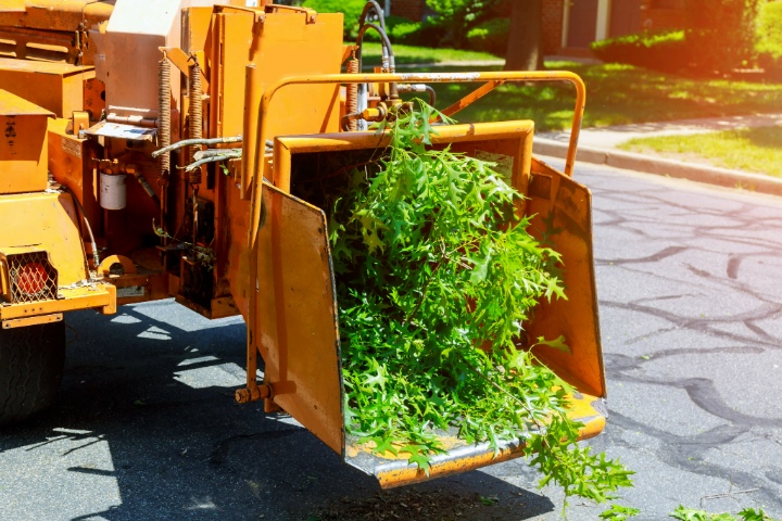 Portable wood chipper machine processing branches during spring yard cleanup