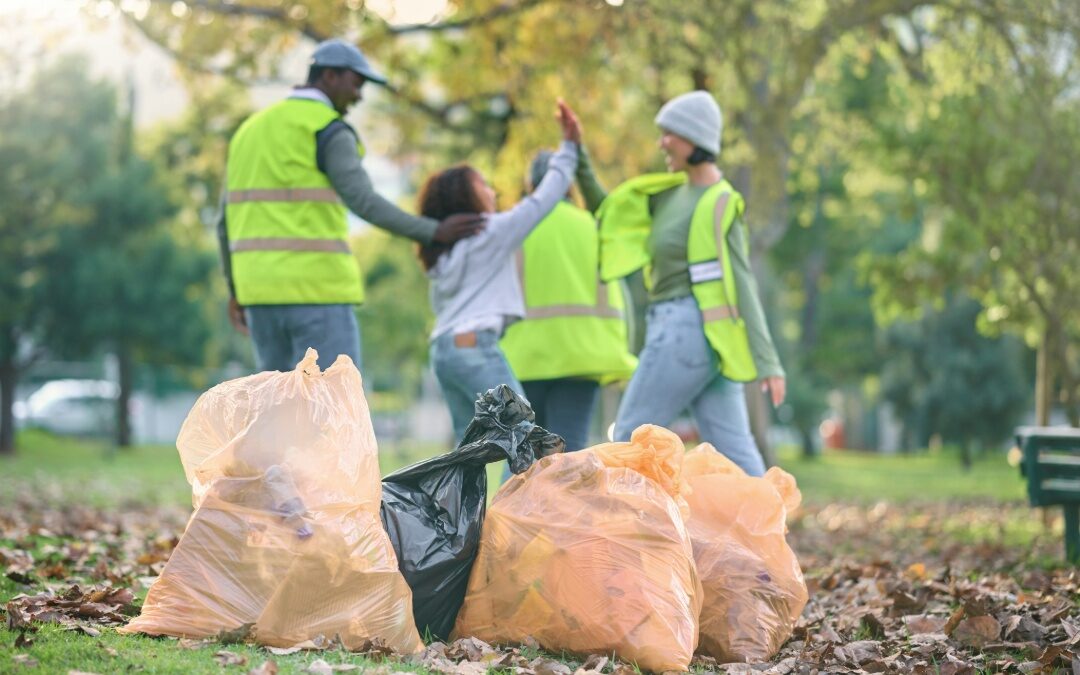 Spring Yard Cleanup Package: The Offer Homeowners Love