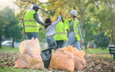Spring Yard Cleanup Package: The Offer Homeowners Love