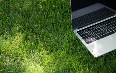 Boost Spring Leads: Update Your Landscaping Website Now