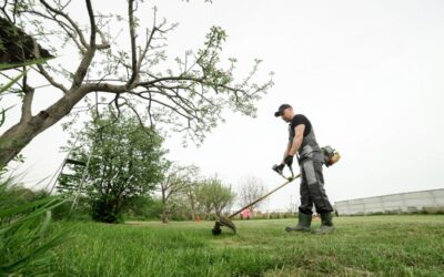 Profitable Spring Landscaping Services Every Pro Should Offer