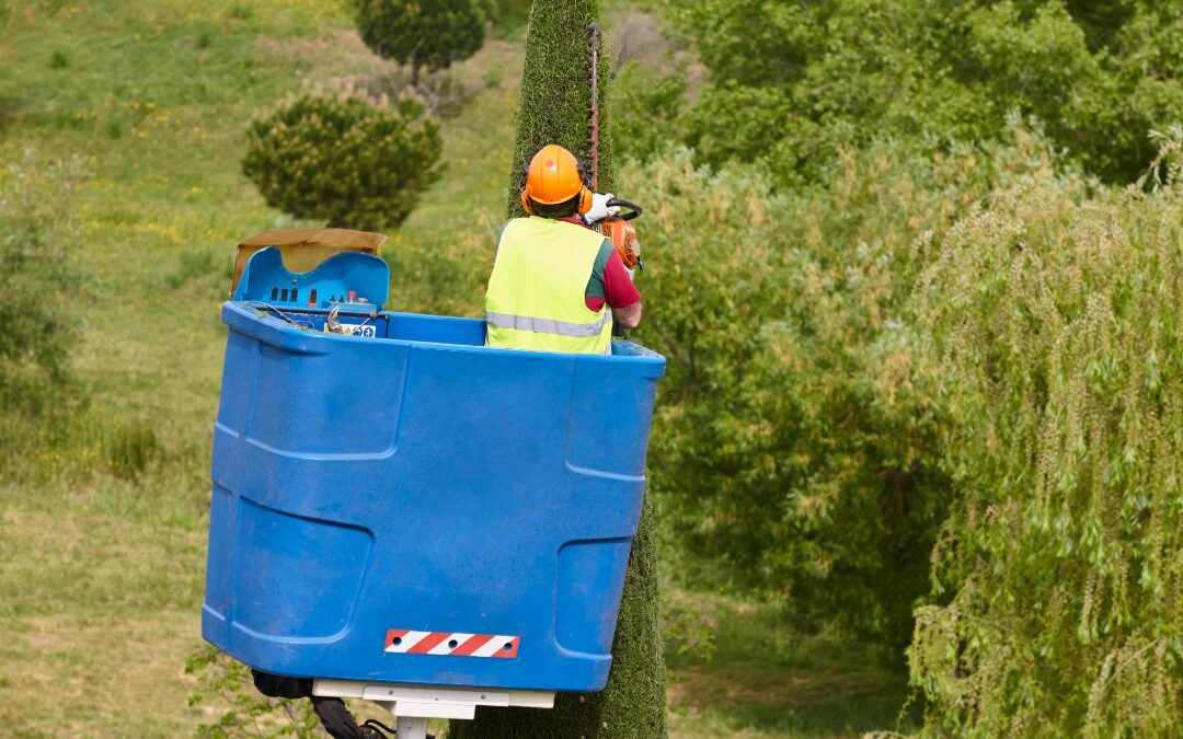 Landscapers: This Is the Best Time of Year to Raise Your Rates (Here’s Why)