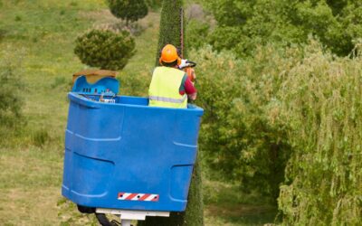 Landscapers: This Is the Best Time of Year to Raise Your Rates (Here’s Why)