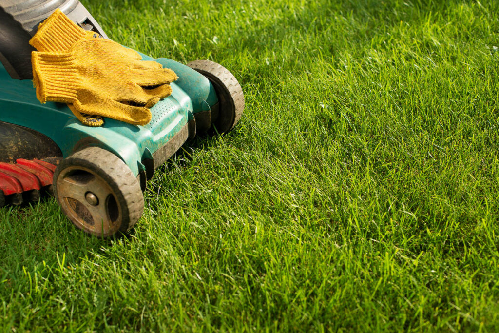 Lawn Care Tools Ready For Spring Work