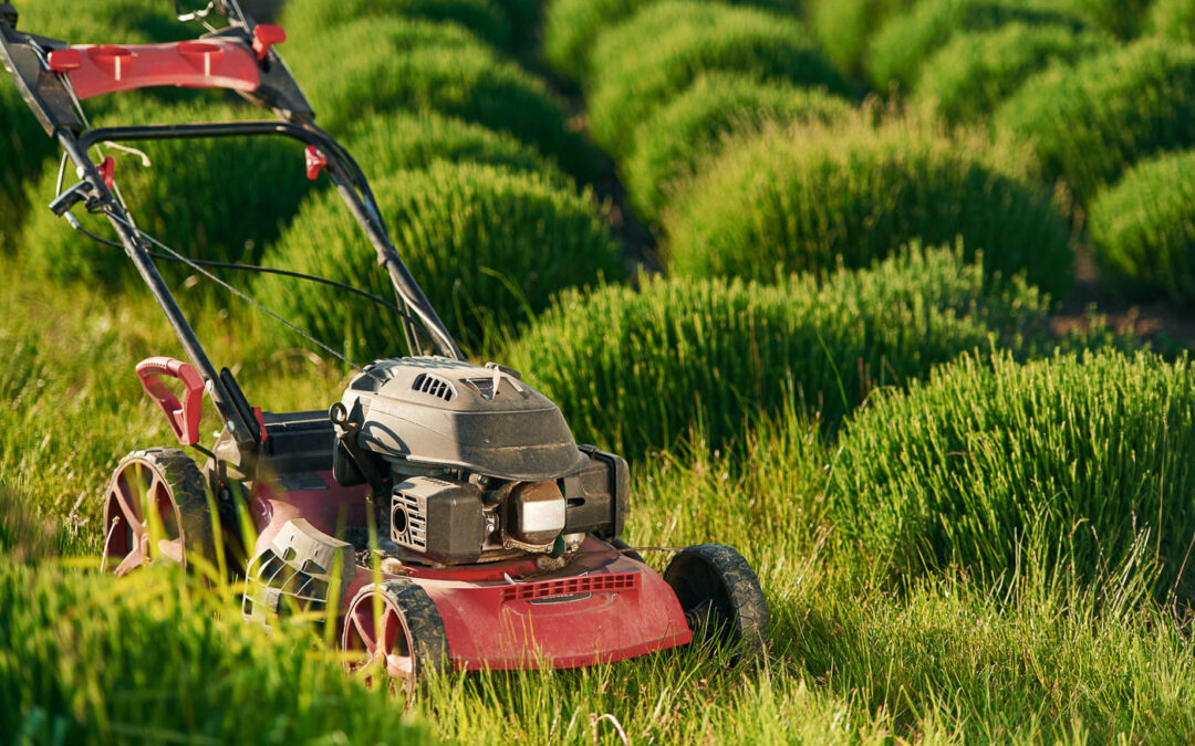Spring-Ready Landscaping: How to Educate Clients and Boost Your Profits