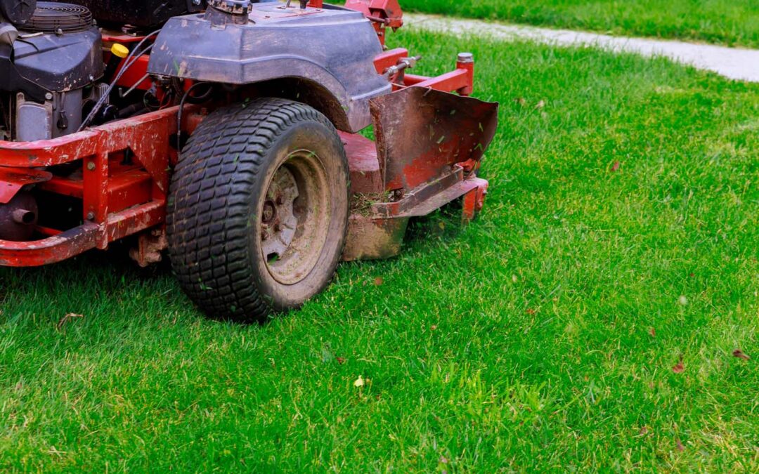 The Spring Rush Is Coming: Is Your Landscaping Business Ready?