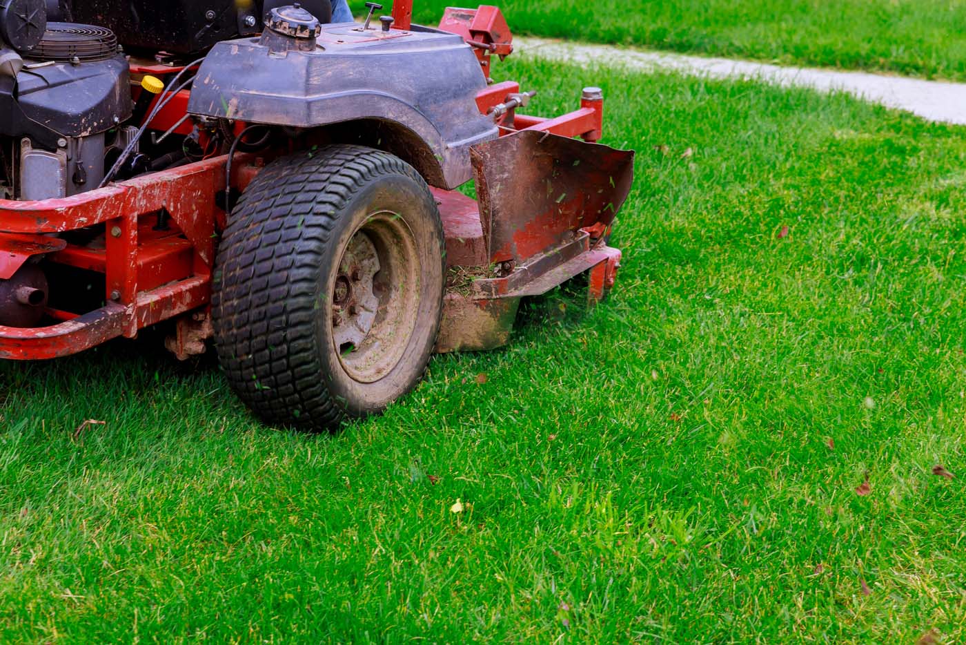 Mowing or cutting the long grass with Red Lawn mower in the summer sun Adobe Express File (2)