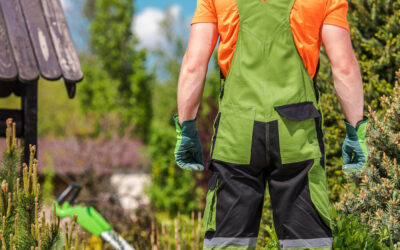 How to Hire & Train a Landscaping Crew Before the Spring Rush