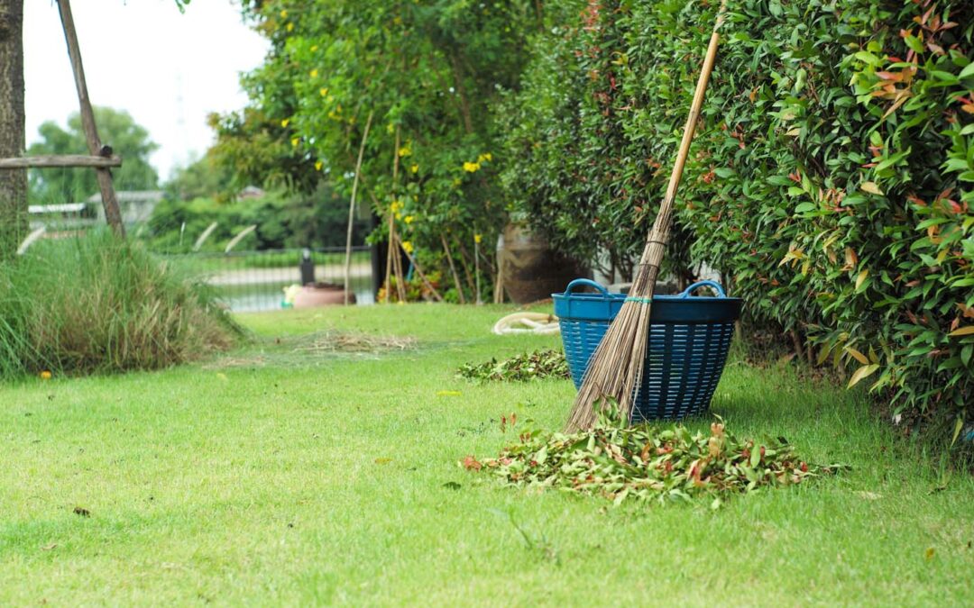 5 Mistakes That Cost Landscaping Businesses Money Every Spring
