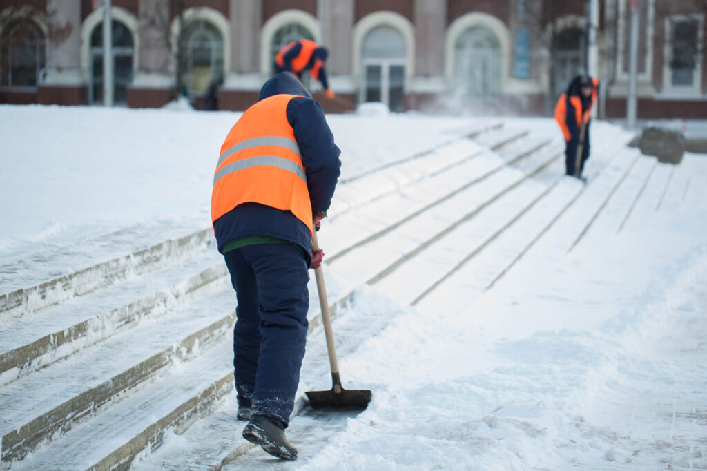 Winter Cleanup Before Spring Landscaping Transition