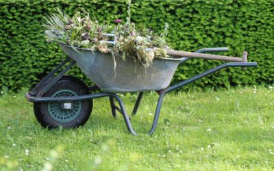 Landscapers: Boost Summer Sales with These Simple Tactics