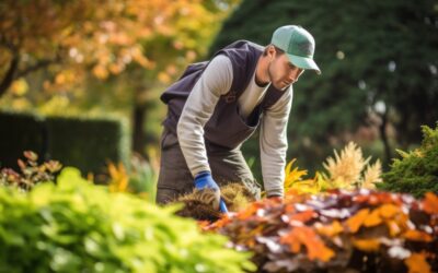 The Best Summer Landscaping Marketing Strategy You’re Not Using