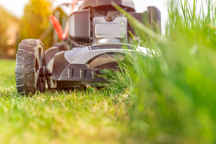 Lawn Mower In Action 
