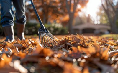 How to Maximize Landscaping Income This Fall: Smart Services, Pricing & Scheduling