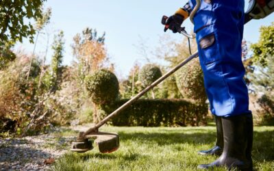 How to Budget for Lawn Care Ads That Actually Work