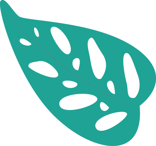 Ornament 7