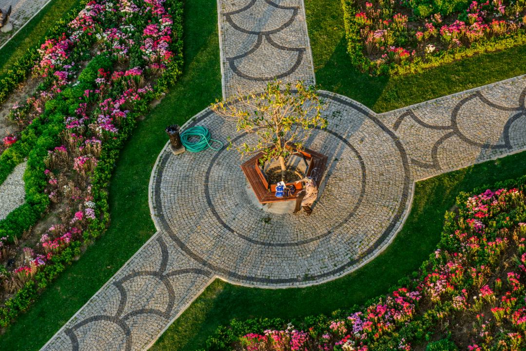 Aerial view of a professional landscaper working in a circular stone-paved plaza