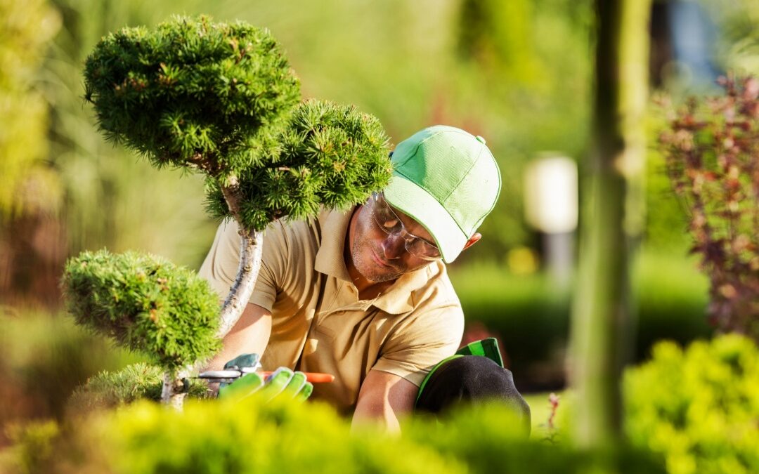 Choosing the Right Business Structure for Your Landscaping Company