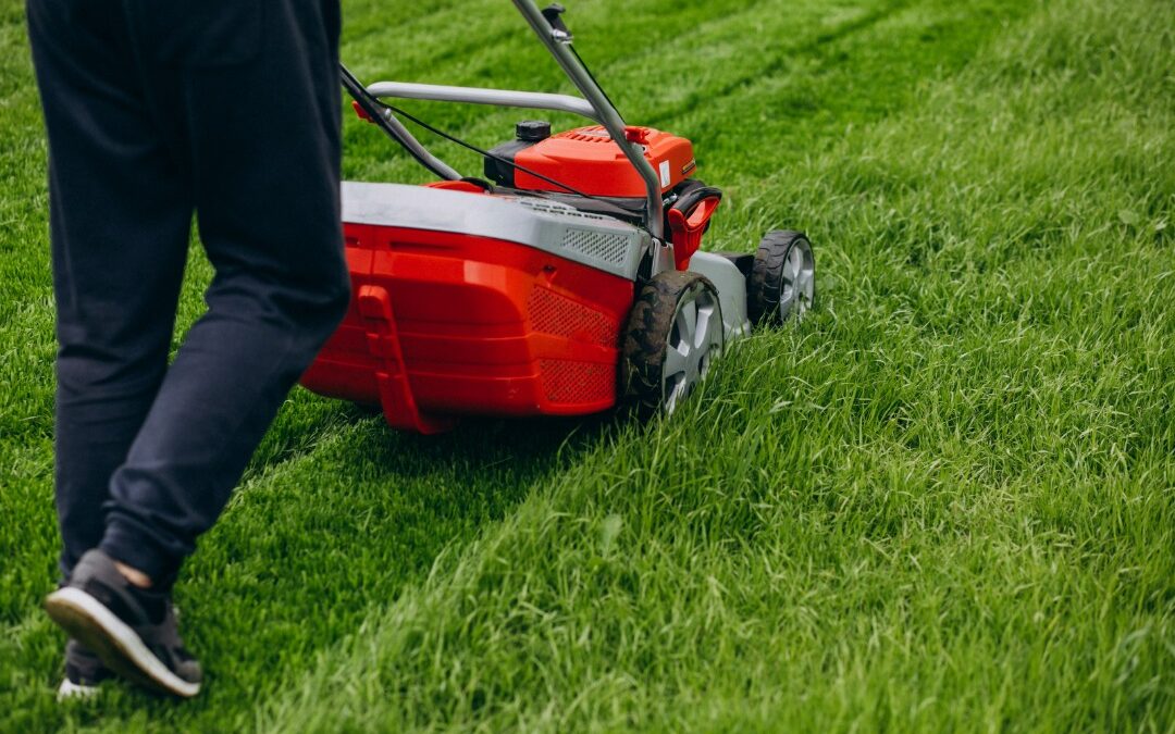 Creating an Effective Posting Schedule for Your Landscaping Business (To Avoid Wasting Time)