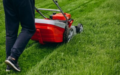 Creating an Effective Posting Schedule for Your Landscaping Business (To Avoid Wasting Time)