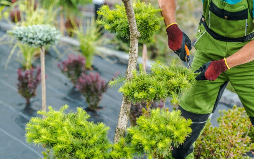 How to Build a Lawn Care Brand Customers Trust