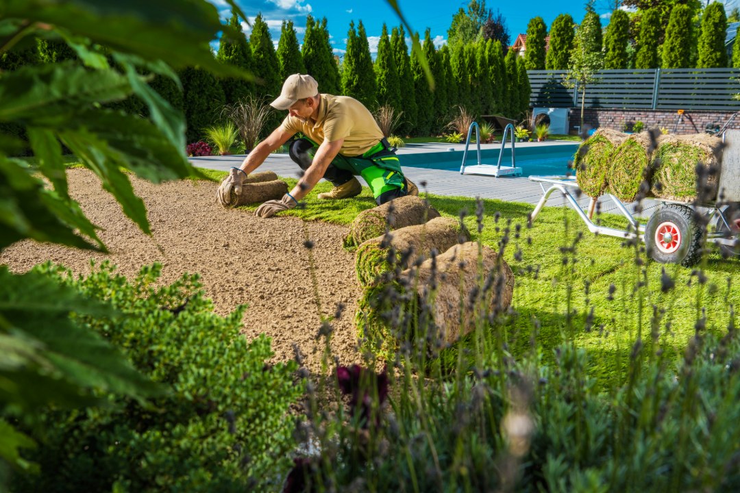 Man Restoring Backyard Garden Grass Turfs