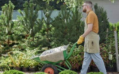 Is It Time to Redesign Your Landscaping Website? Signs It’s Time for a Fresh Start