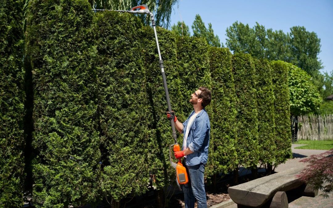 Why Local SEO is Essential for Landscaping Businesses (And How to Optimize It for Success)