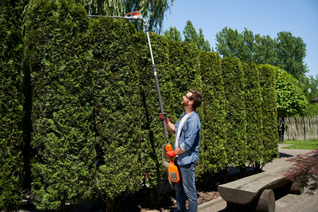 Man trimming tall hedges with a pole hedge trimmer in a park