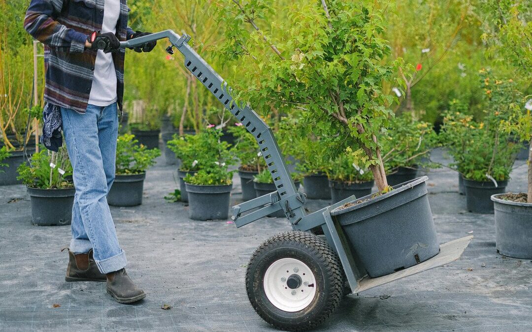 Paid, Social, or Organic: Which Marketing Channel is Best for Landscaping Businesses?
