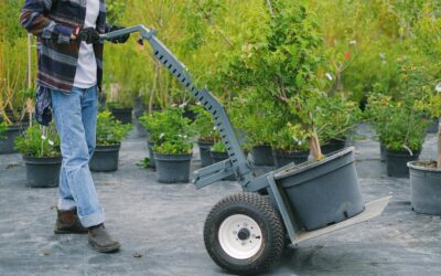 Paid, Social, or Organic: Which Marketing Channel is Best for Landscaping Businesses?