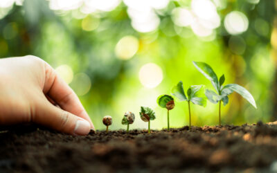 How To Build A Landscaping Brand Story That Sells