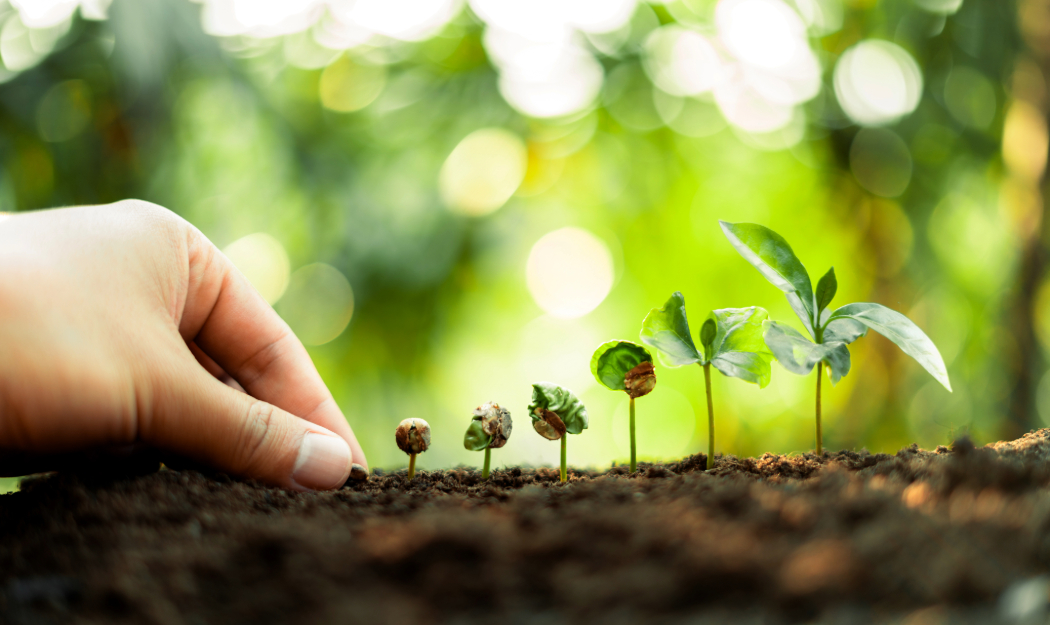 How To Build A Landscaping Brand Story That Sells