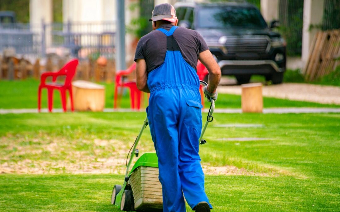 How Landscapers Can Build Strong Visual Branding