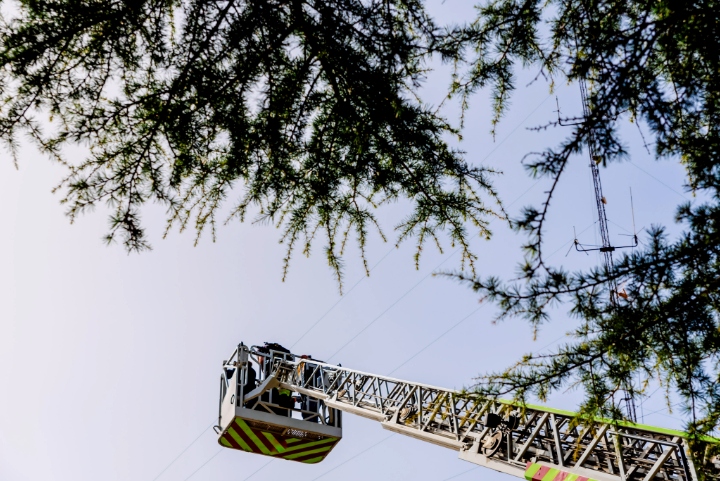 Mechanical Ladder Of Landscapers Seen From Below With Blue Sky