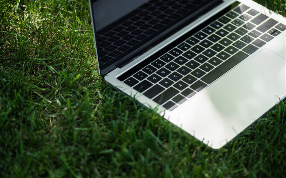 Google Ads for Landscapers: How to Get More Lawn Care Leads