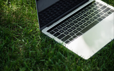 Google Ads for Landscapers: How to Get More Lawn Care Leads