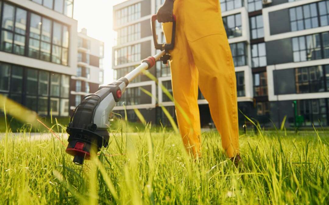 Best Lawn Care Services to Offer in Each Season